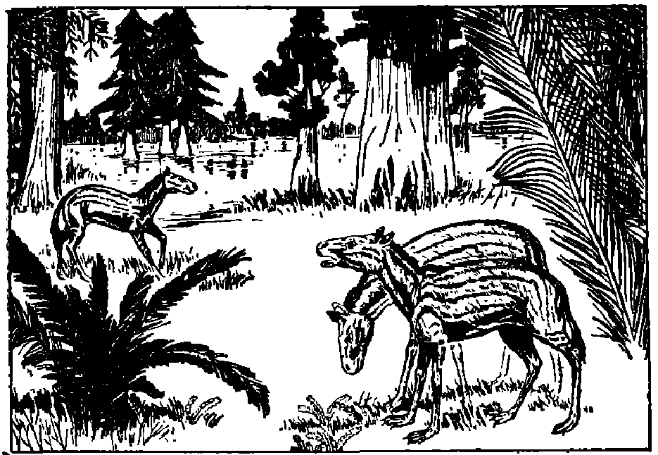 蜜桃成品人视频入口