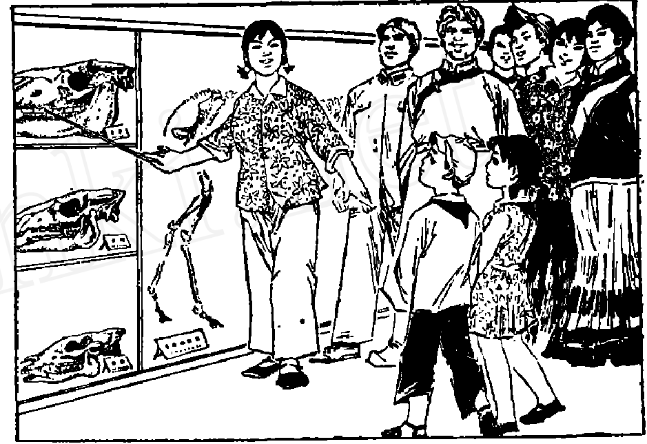 马的进化图二 蜜桃成品人视频入口