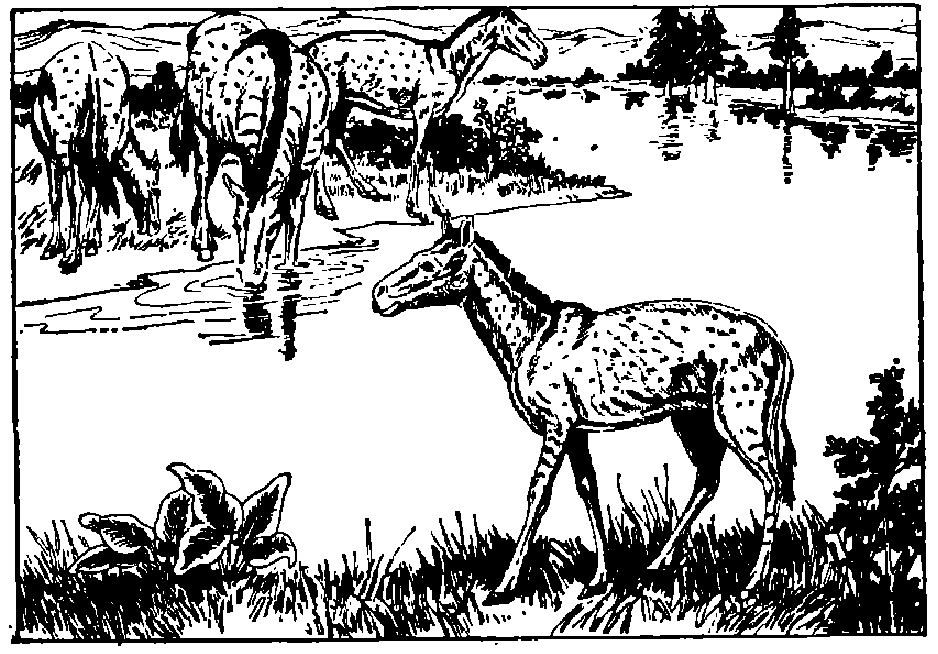 蜜桃成品人视频入口