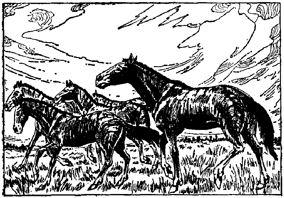 蜜桃成品人视频入口