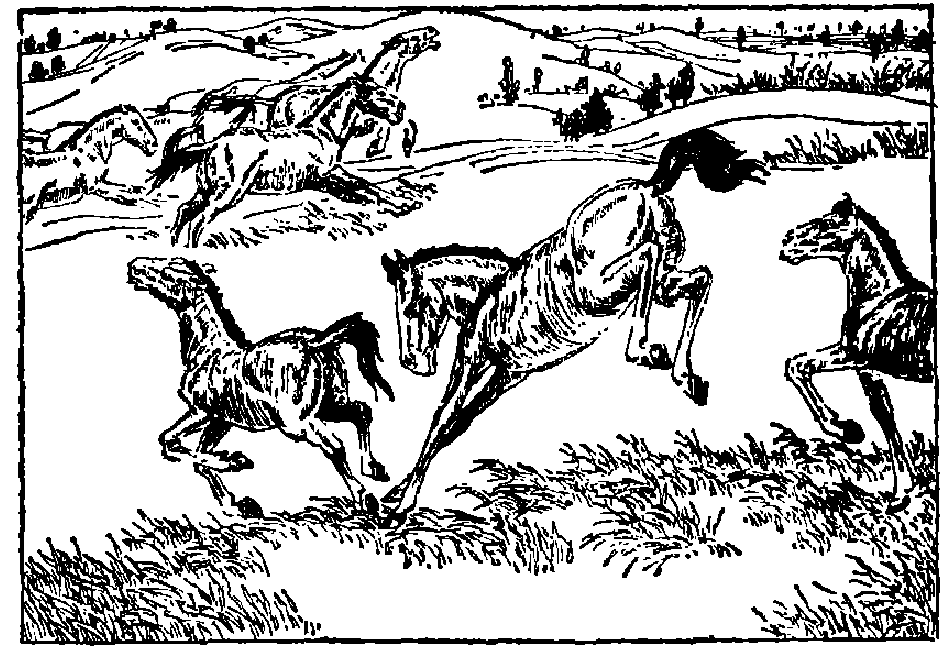 蜜桃成品人视频入口