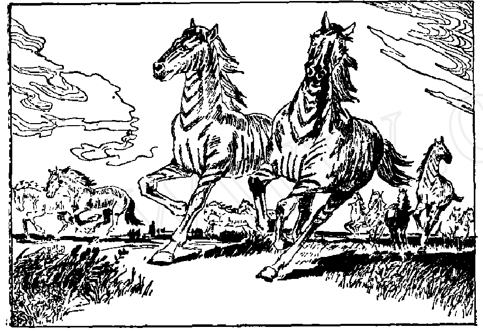 蜜桃成品人视频入口