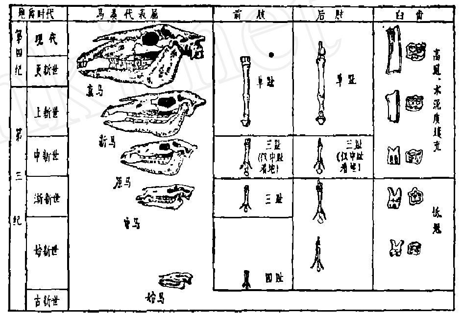 蜜桃成品人视频入口