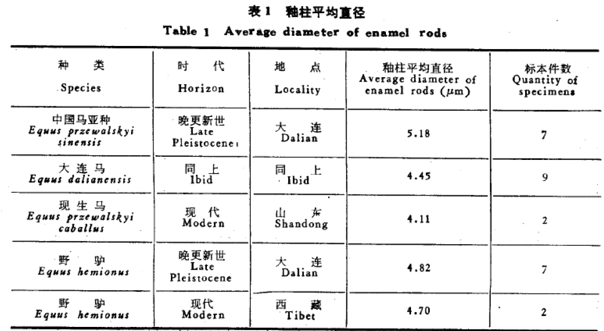 蜜桃成品人视频入口