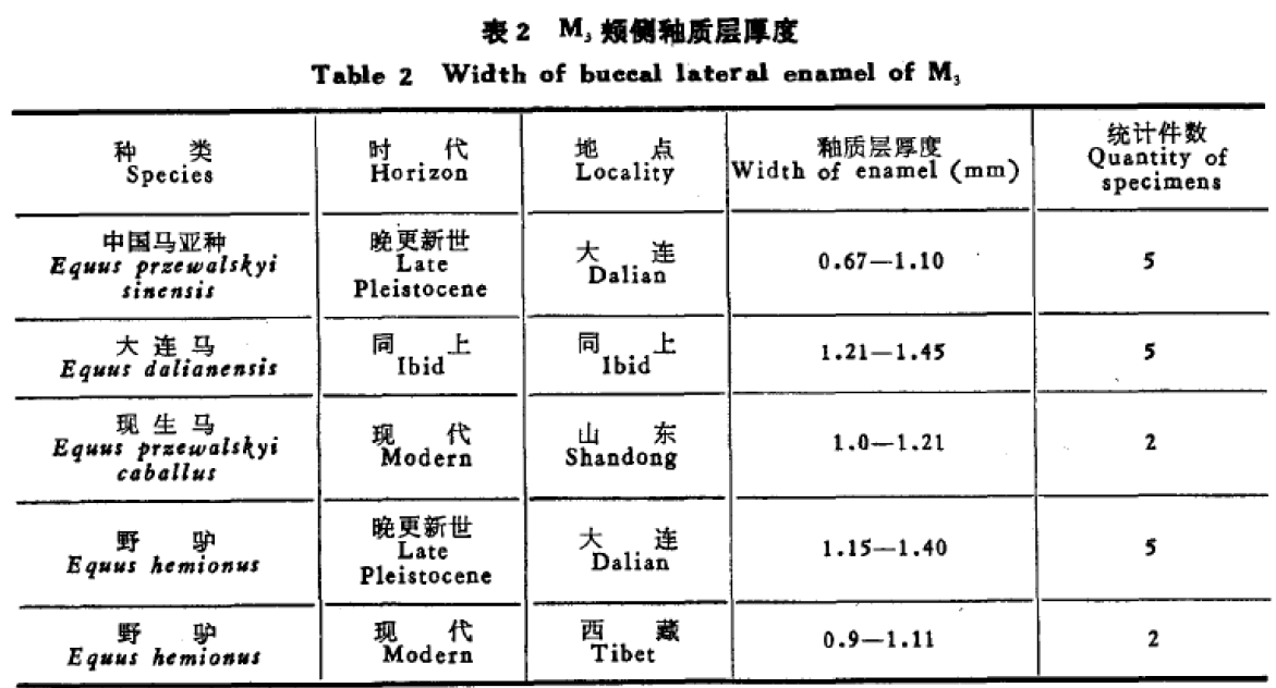 蜜桃成品人视频入口