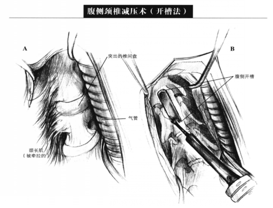 蜜桃成品人视频入口