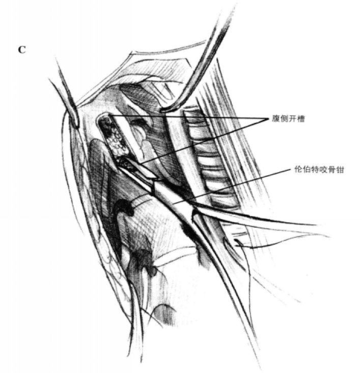 蜜桃成品人视频入口