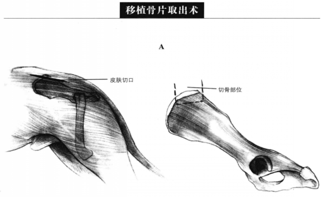 蜜桃成品人视频入口