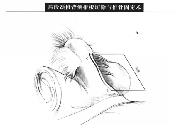 蜜桃成品人视频入口