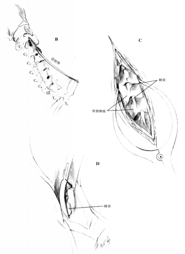 蜜桃成品人视频入口
