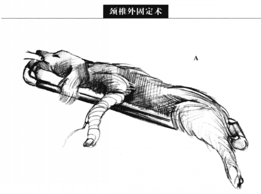 蜜桃成品人视频入口
