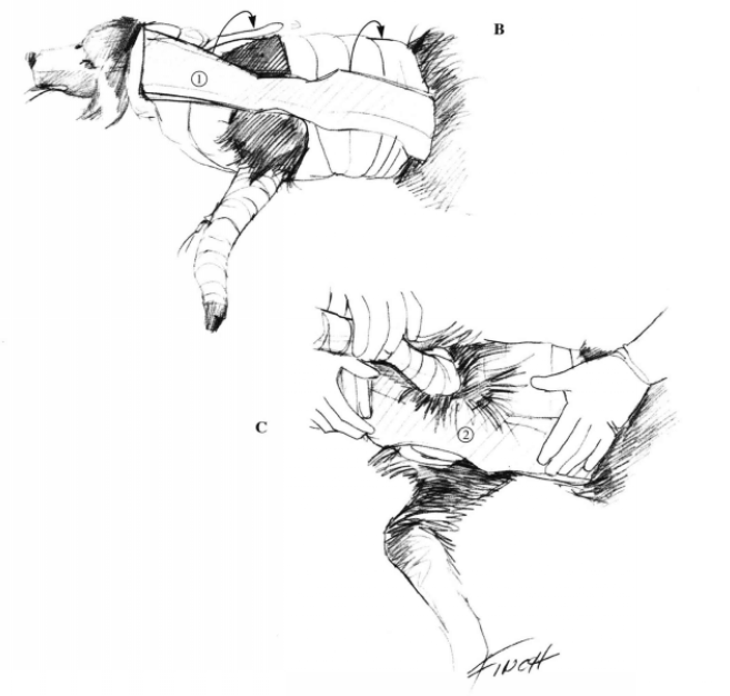 蜜桃成品人视频入口