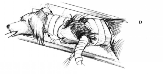 蜜桃成品人视频入口