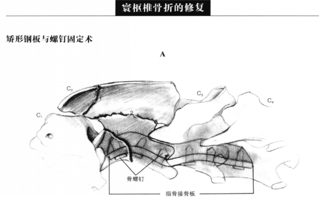 蜜桃成品人视频入口