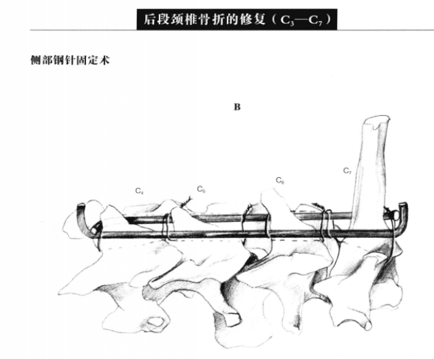 蜜桃成品人视频入口
