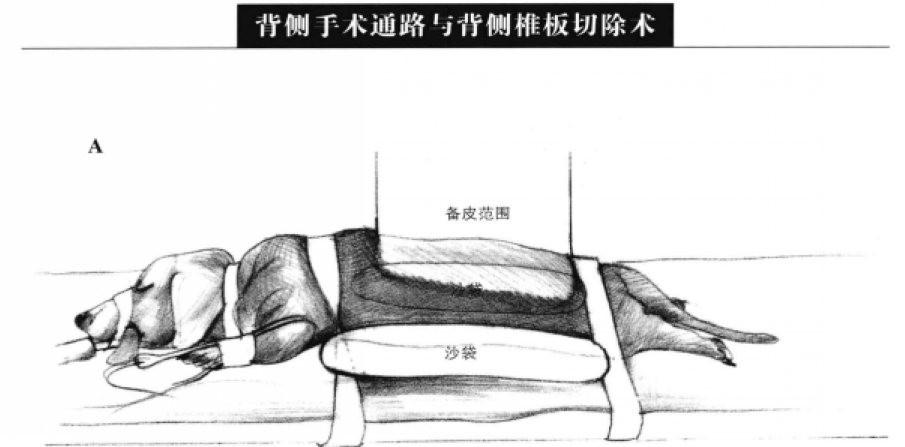 蜜桃成品人视频入口