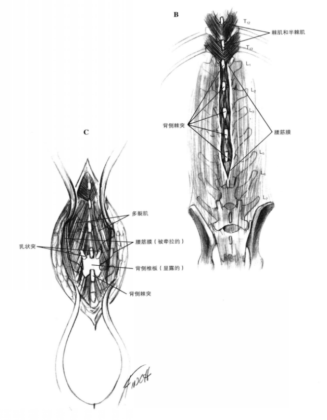 蜜桃成品人视频入口
