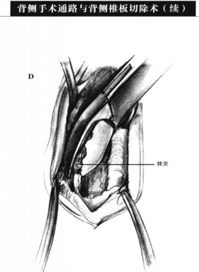 蜜桃成品人视频入口