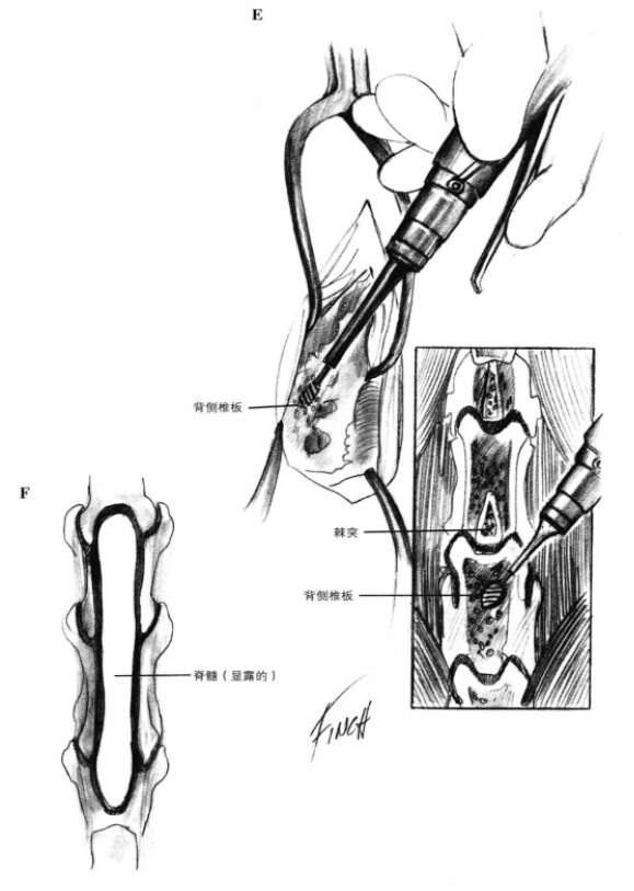 蜜桃成品人视频入口