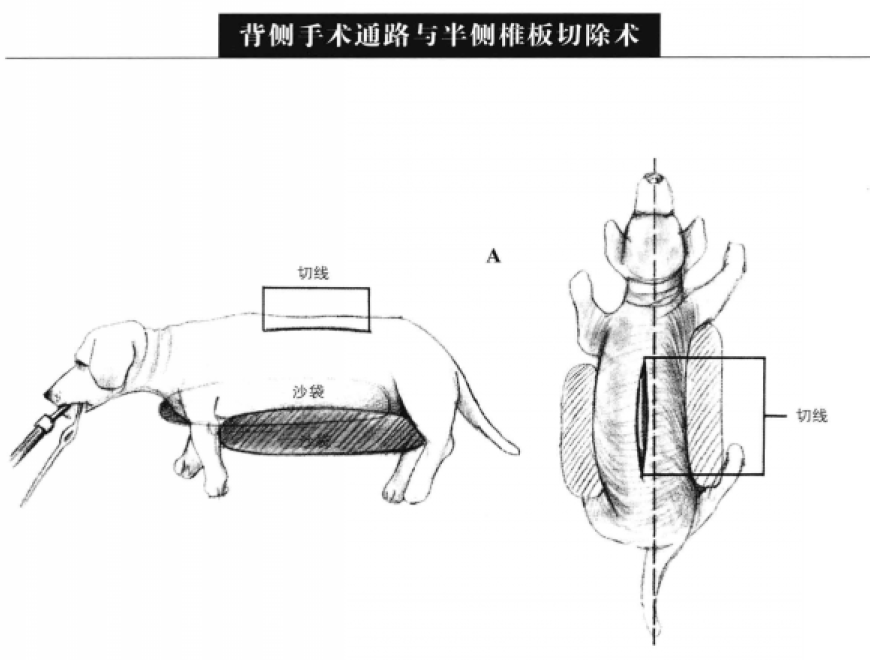 蜜桃成品人视频入口
