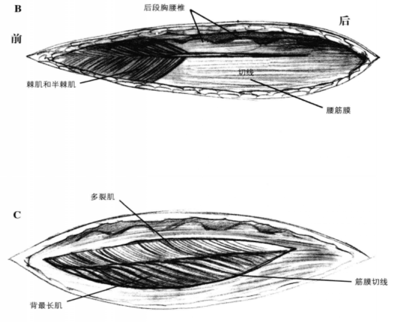 蜜桃成品人视频入口