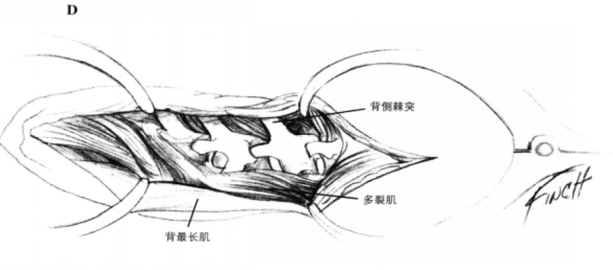 蜜桃成品人视频入口