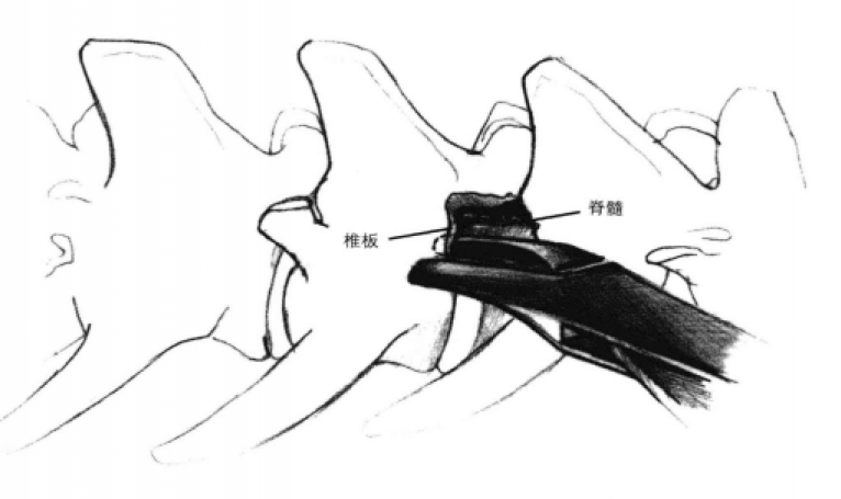 蜜桃成品人视频入口