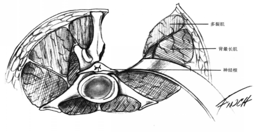 蜜桃成品人视频入口