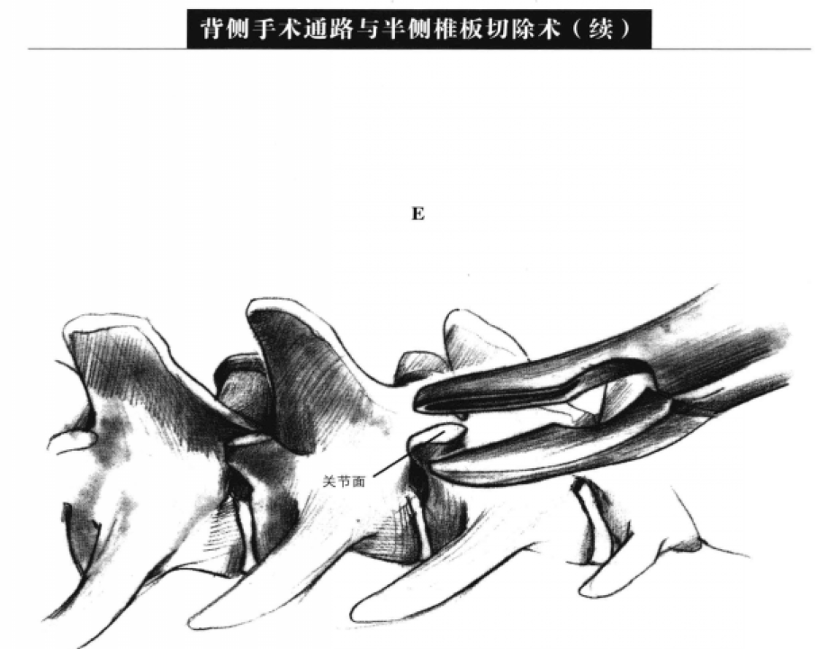 蜜桃成品人视频入口