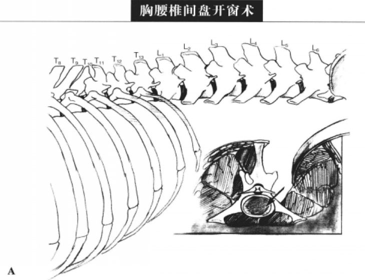 蜜桃成品人视频入口