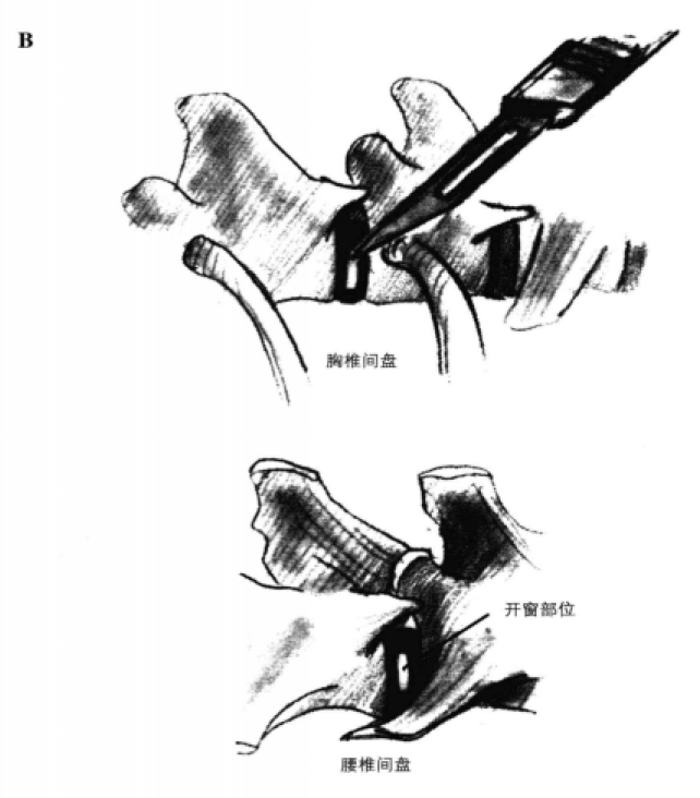 蜜桃成品人视频入口