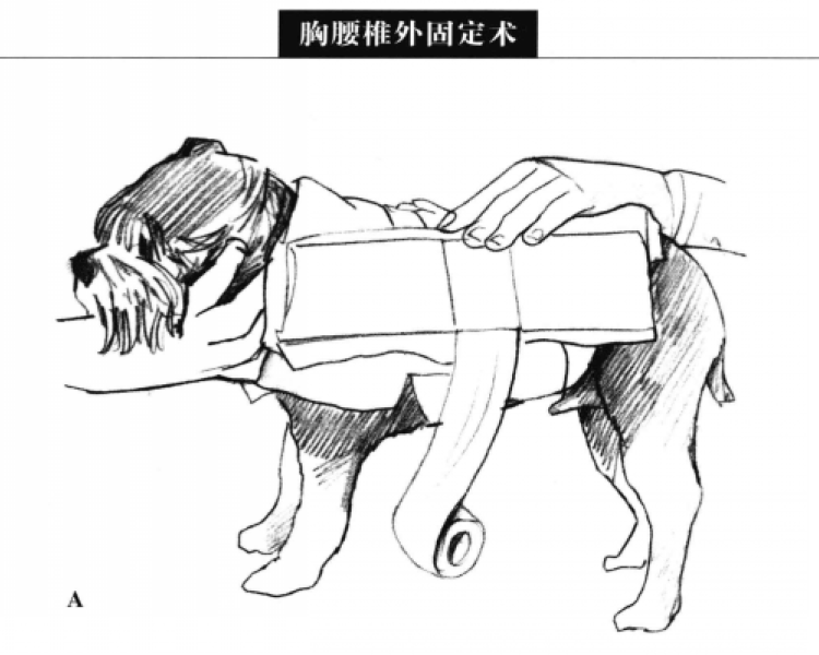 蜜桃成品人视频入口