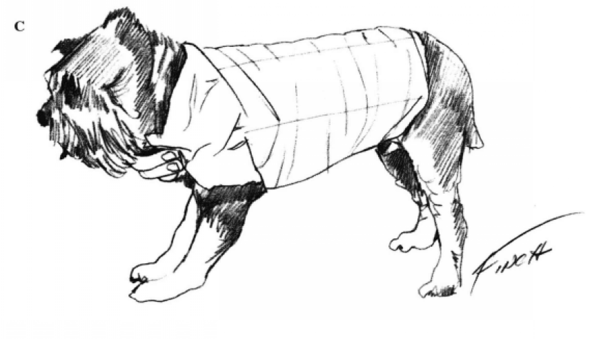 蜜桃成品人视频入口