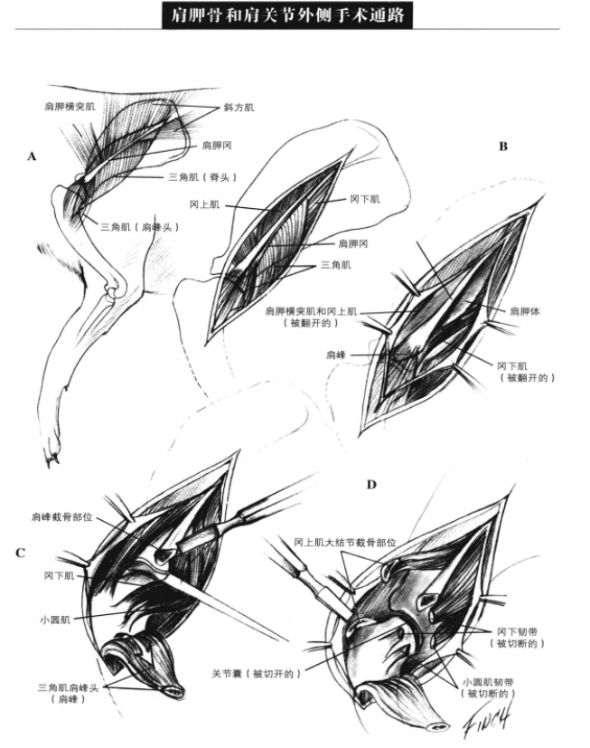 蜜桃成品人视频入口