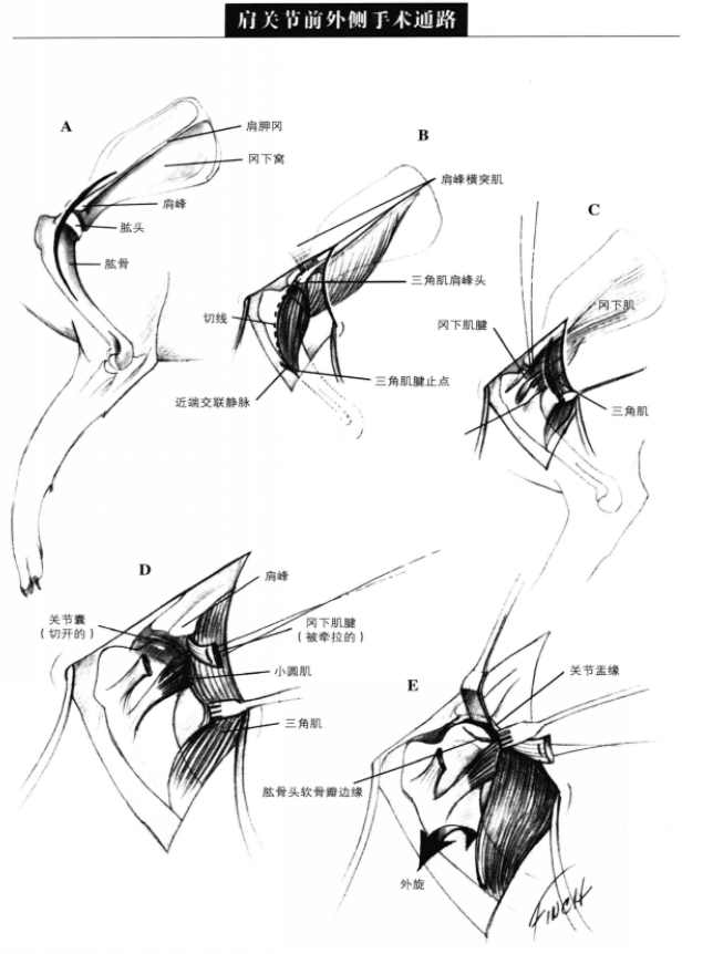 蜜桃成品人视频入口