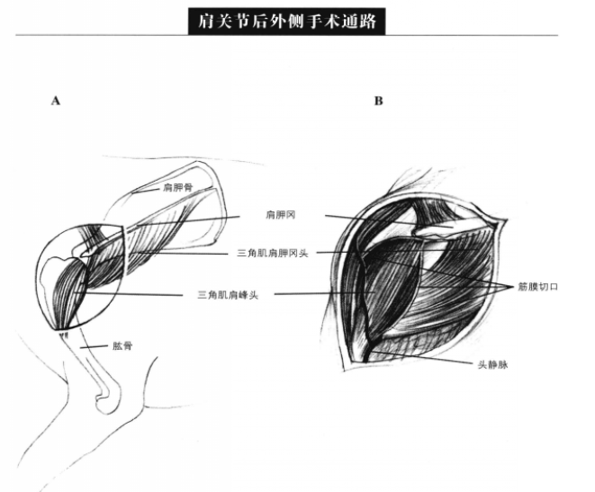 蜜桃成品人视频入口