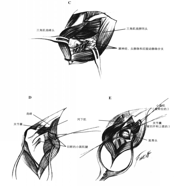 蜜桃成品人视频入口