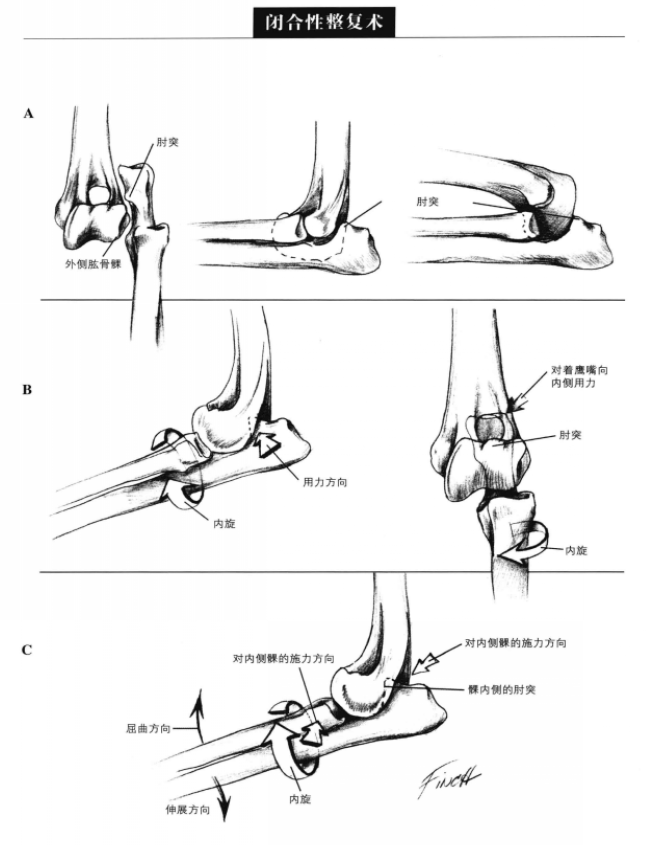 蜜桃成品人视频入口