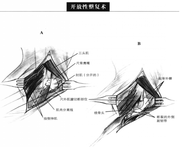 蜜桃成品人视频入口