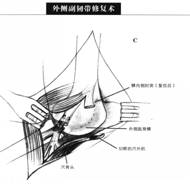蜜桃成品人视频入口