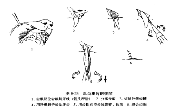 蜜桃成品人视频入口