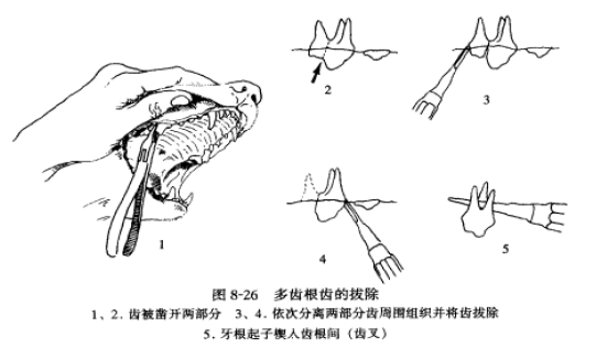 蜜桃成品人视频入口