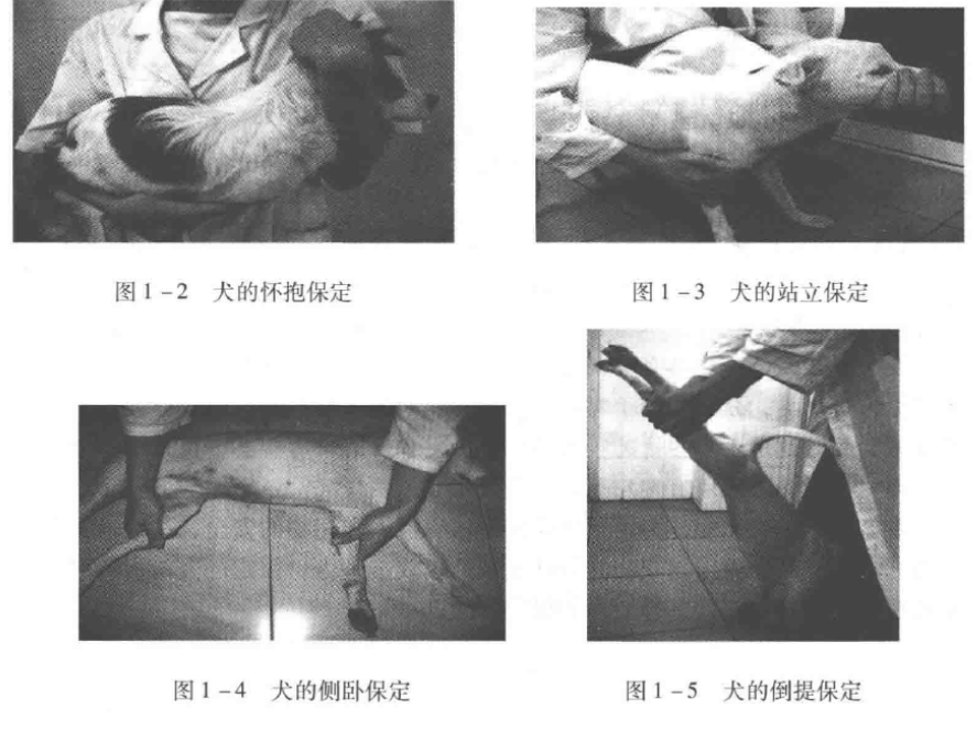 蜜桃成品人视频入口