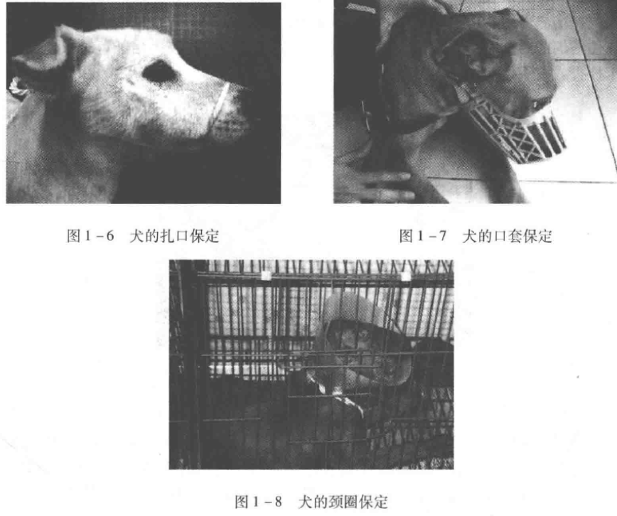 蜜桃成品人视频入口