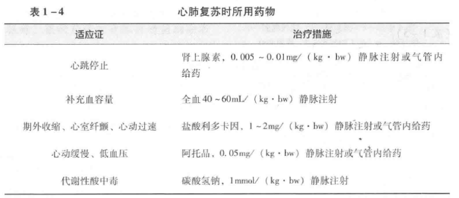蜜桃成品人视频入口
