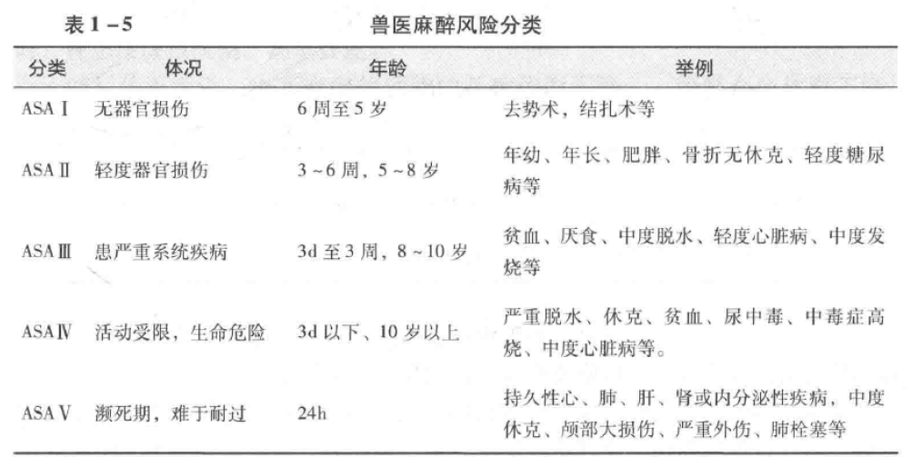 蜜桃成品人视频入口