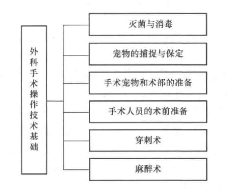 蜜桃成品人视频入口