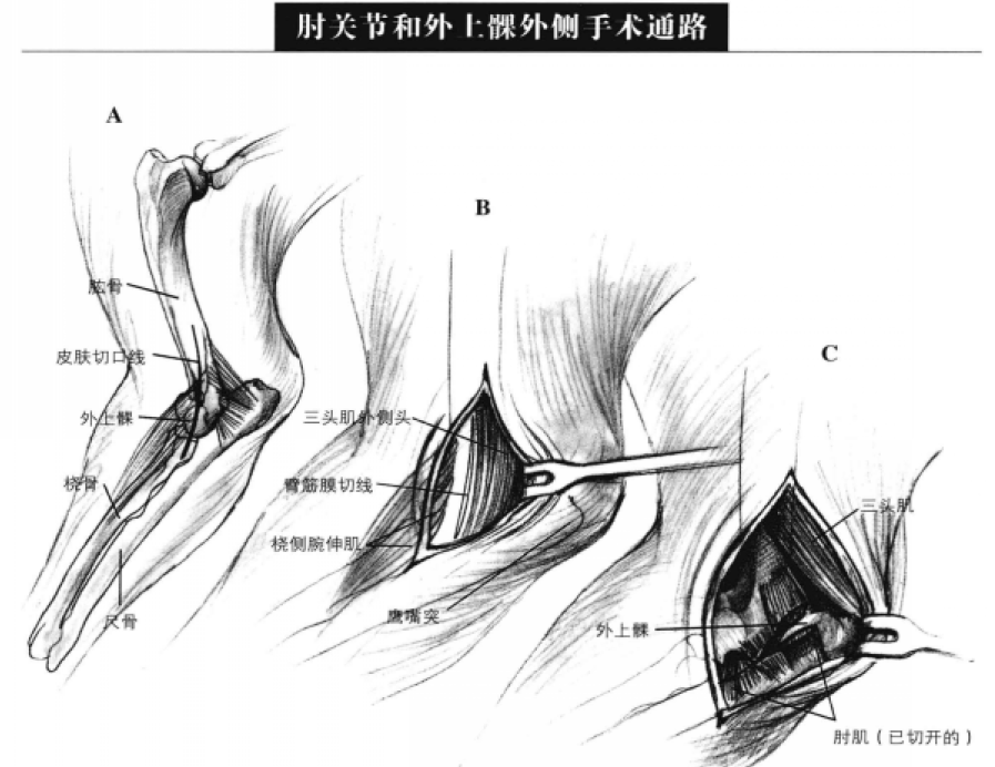 蜜桃成品人视频入口
