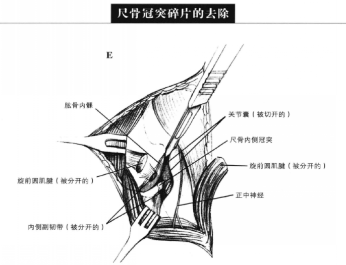 蜜桃成品人视频入口