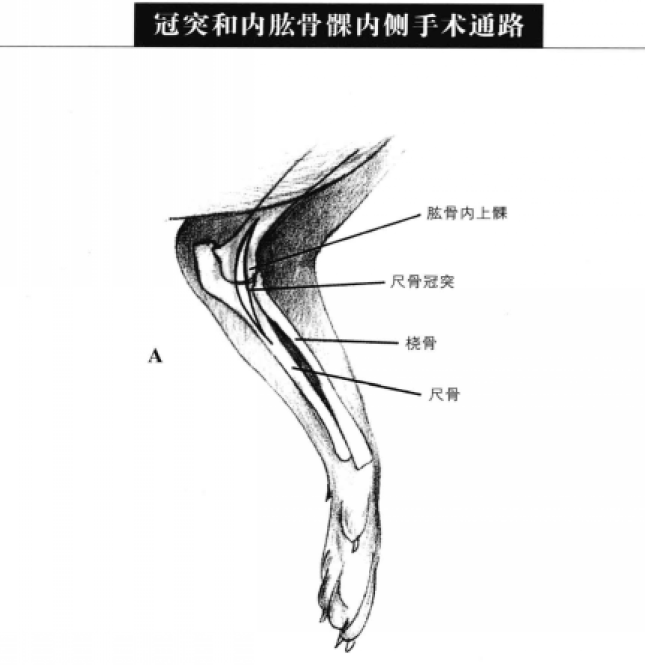 蜜桃成品人视频入口